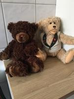 Teddybären aus einer Sammlung Niedersachsen - Moormerland Vorschau