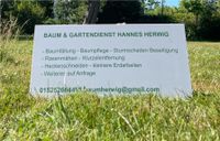 Baum / Gartendienst Hannes Herwig Niedersachsen - Springe Vorschau