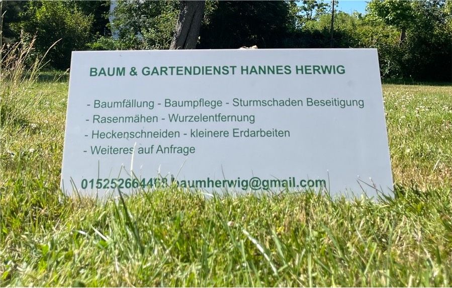 Baum / Gartendienst Hannes Herwig in Springe