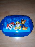 Paw Patrol  Brotdose blau Sachsen-Anhalt - Halle Vorschau