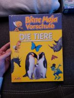 Biene Maja Vorschule Nordrhein-Westfalen - Hagen Vorschau