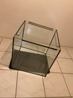 Aquarium Würfel 50X50X50 cm Nordrhein-Westfalen - Rietberg Vorschau