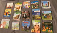 Großes Kinderbücher Set/ 15 Hefte/ Pixi, Lino-Bücher, Benny Blu… Nordrhein-Westfalen - Neuenkirchen Vorschau