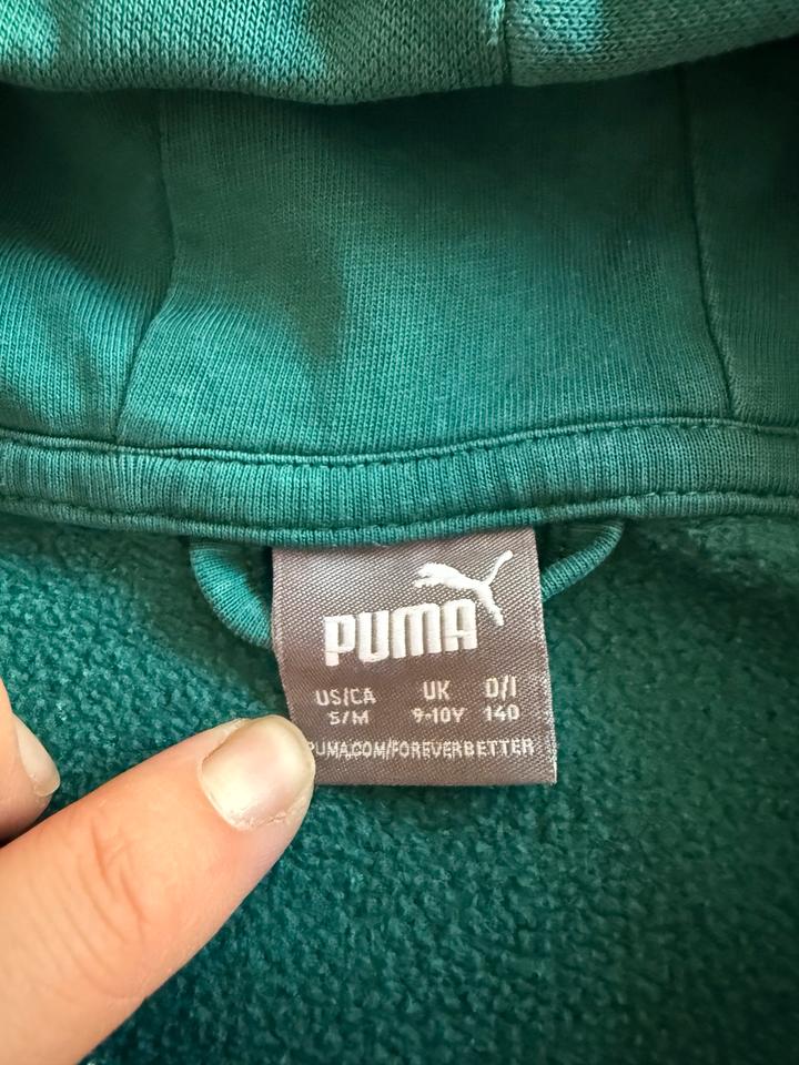 grüner Puma Zipper Pullover für kids in Größe 140 in Stuttgart