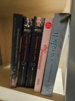 Jugendbuch Paket, Vampire, Liebe, Krimi Bayern - Obersöchering Vorschau
