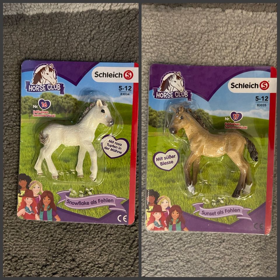 Schleich Fohlen Horse Club Sammlerstück Snowflake Sunset in Bedburg-Hau