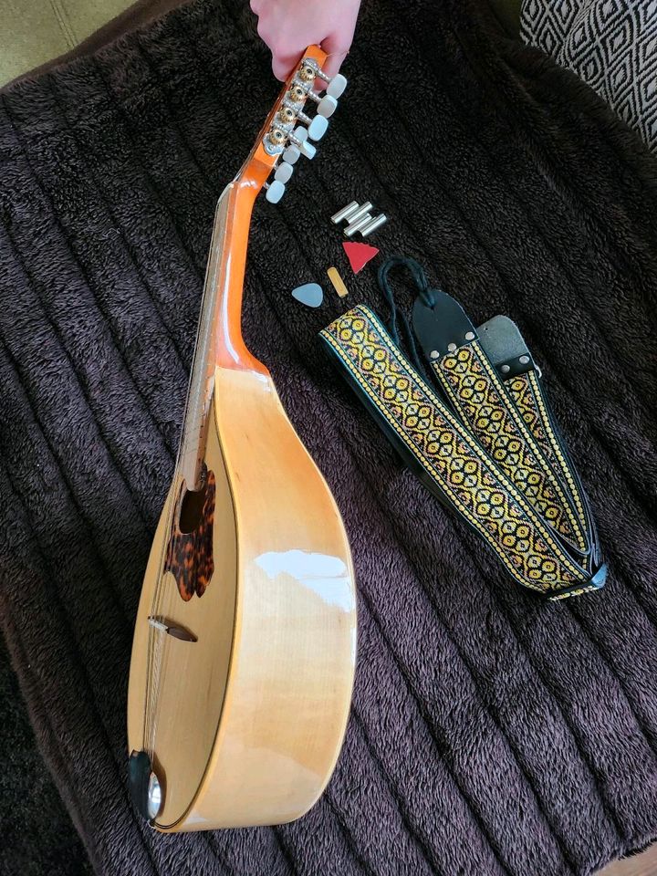 Mandoline 8 Saiten in Gladenbach