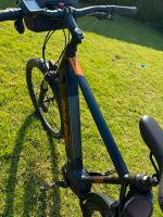 Ebike Raleigh Dundee Niedersachsen - Brake (Unterweser) Vorschau