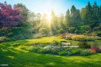 Garten Pflege Rheinland-Pfalz - Gimbsheim Vorschau