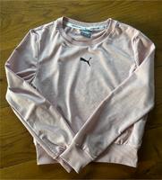 Puma Pullover Gr S Rheinland-Pfalz - Winnen Vorschau