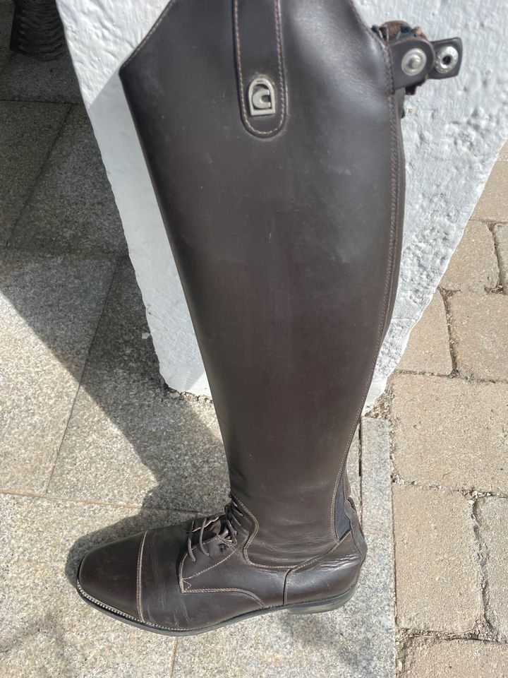 Herren Reitstiefel in Moosburg a.d. Isar