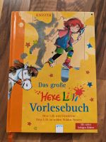 Buch "Das große Hexe Lilli Vorlesebuch" Nordrhein-Westfalen - Herscheid Vorschau