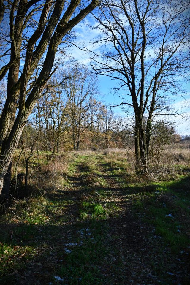 Uckermark - Stilvolle Stadt-(Dorf-)Villa mit großzügigem Grundstück! in Milmersdorf