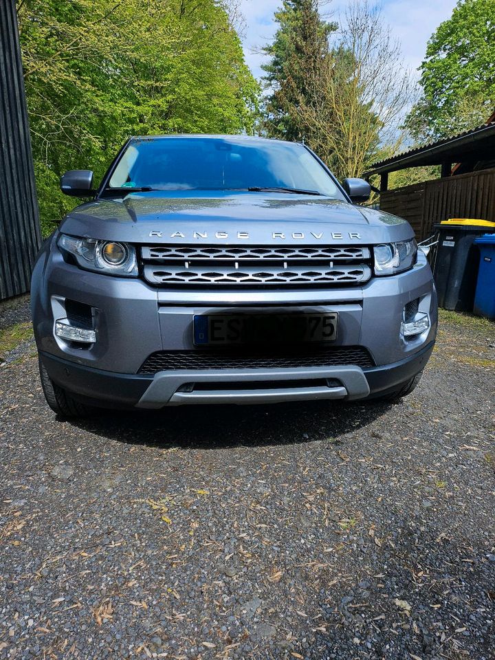 Rang Rover  Evoque Tüv Neu in Bad Hersfeld