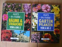 Gartenpflanzen  +  Bäume & Sträucher Bayern - Nabburg Vorschau