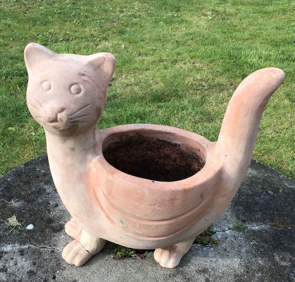 Katze Terracotta Blumentopf in Wiesbaden