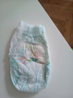 Pampers Pants Größe 4 Hamburg-Nord - Hamburg Fuhlsbüttel Vorschau