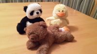 Bär+Panda+Küken von ty - Komplettpreis - Hessen - Wolfhagen  Vorschau