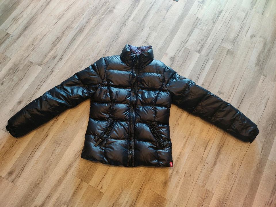 Daunenjacke, Winterjacke EDC Esprit in Weiden (Oberpfalz)