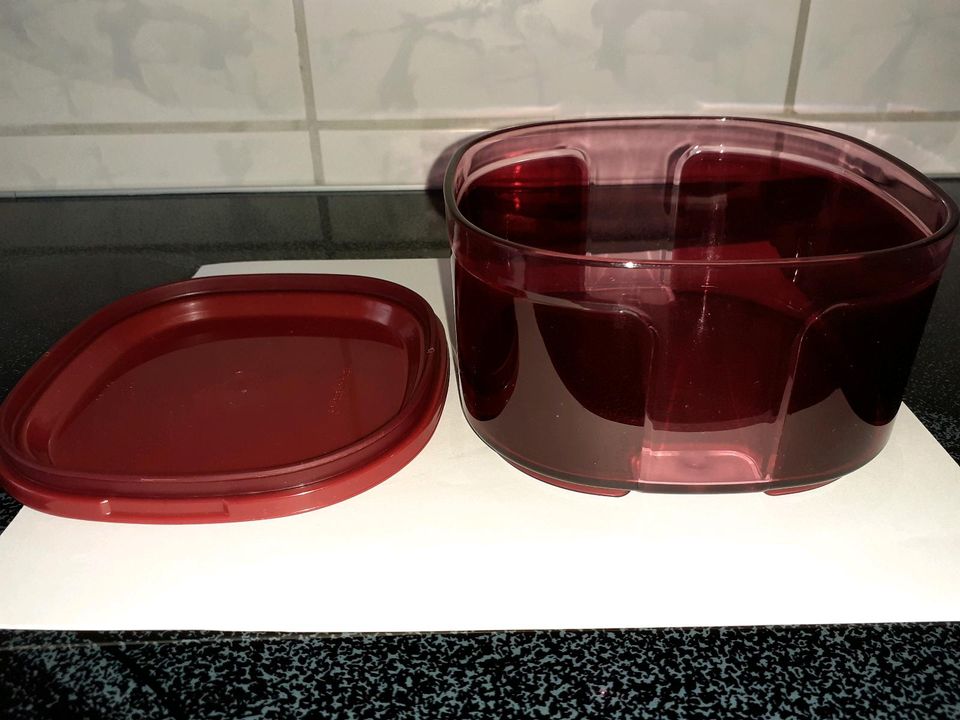 Skyline Behälter 0,7 l Eleganzia Rot Tupperware in Iserlohn