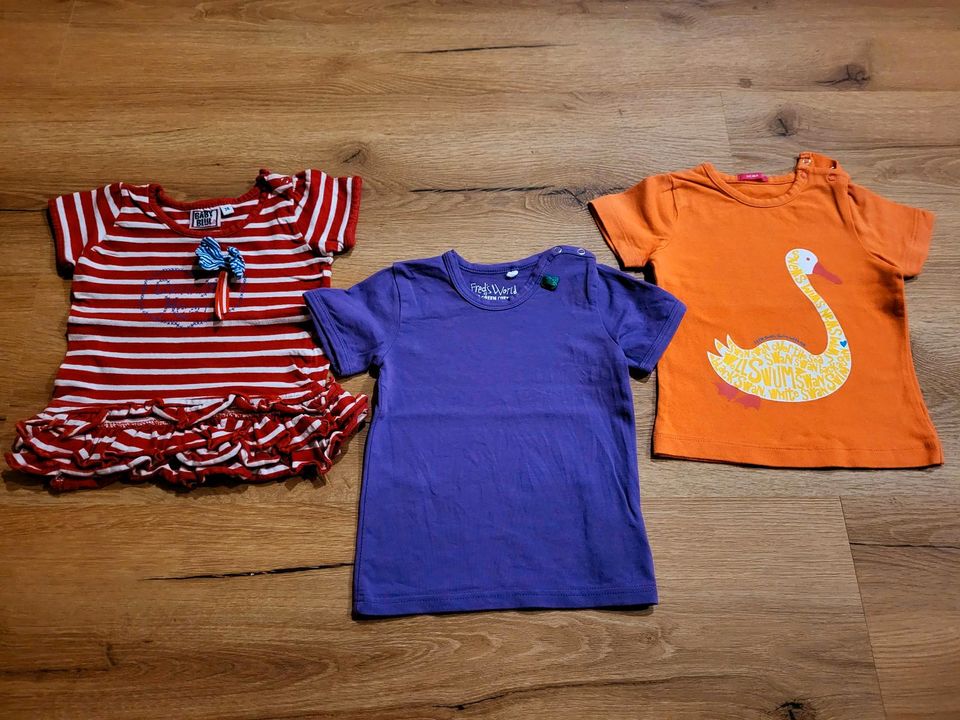 ☆ T-Shirts Tom Tailor HEMA ☆ Größe 74 Baby Mädchen Shirt T-Shirt in  Niedersachsen - Schüttorf | Babykleidung Größe 74 kaufen | eBay  Kleinanzeigen ist jetzt Kleinanzeigen