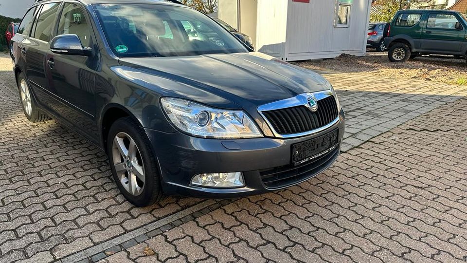 Skoda Octavia 1.2 TSI in Nalbach