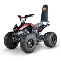 TomRide TR 290 ATV Kinderquad ELEKTRO 7-45 km/h Tom Ride TR290 Brandenburg - Am Mellensee Vorschau