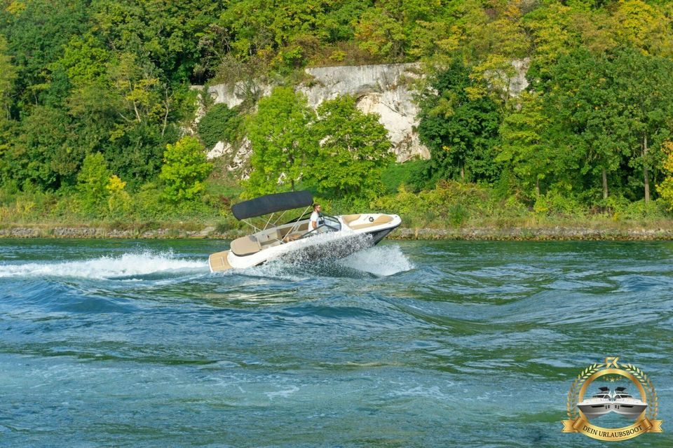 Sea Ray 19 SPX Motorboot mit GPS auf Trailer zum Mieten in Parkstein