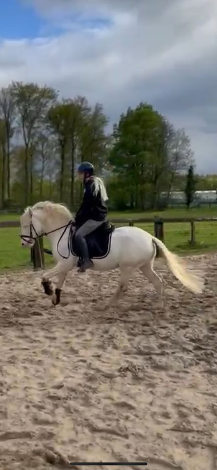 Sport Pony in Sonderfarbe ✨ in Niederkrüchten