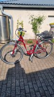 E- Bike Damenrad 28 Zoll Brandenburg - Spremberg Vorschau