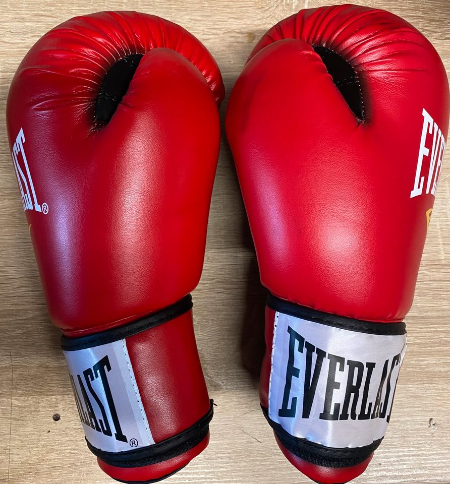 Everlast Boxhandschuhe/ Kickboxen  Neu in Oyten