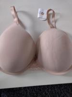 bh gr 85 c neu Gina Push up Nordrhein-Westfalen - Geseke Vorschau