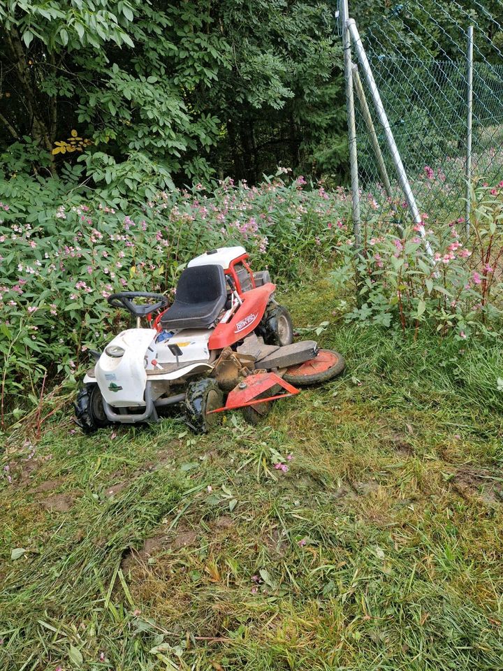 Gartenservice Solarparkpflege Dienstleistungen aller Art in Regen