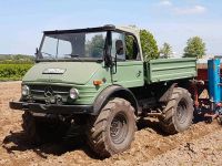 Unimog 406 Agrar Nordrhein-Westfalen - Preußisch Oldendorf Vorschau