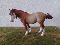 Repaint Aufträge für Schleich Collecta/Breyer Hessen - Dillenburg Vorschau