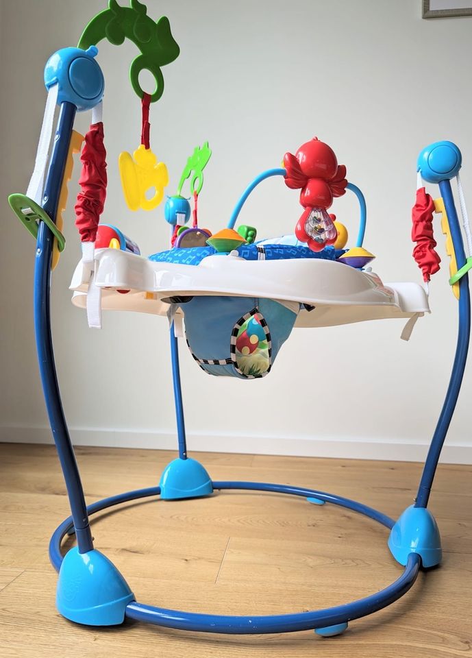 Baby Einstein Aktivitäts Symphony Hüpfer in Stuttgart