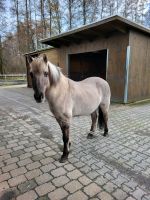 Pflegebeteiligung zu vergeben Nordrhein-Westfalen - Verl Vorschau