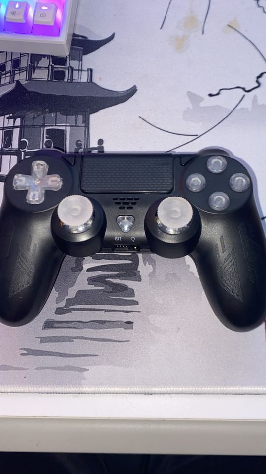 Coustum ps4 Controller in Kaarst