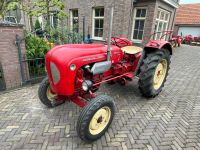 porsche diesel schlepper / traktor / kleintraktor standard 238 Nordrhein-Westfalen - Gronau (Westfalen) Vorschau