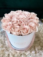 Grace Flowerbox Infinity Rose Berlin - Rummelsburg Vorschau