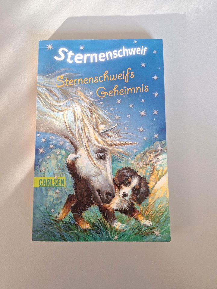 Kinder Buch Sternenschweif Geheimnis Pony Pferd Einhorn in Apen