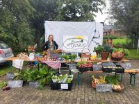 Biokiste Gemüsekiste Salat Gemüse Kohl regional biologisch Mecklenburg-Vorpommern - Brunow Vorschau