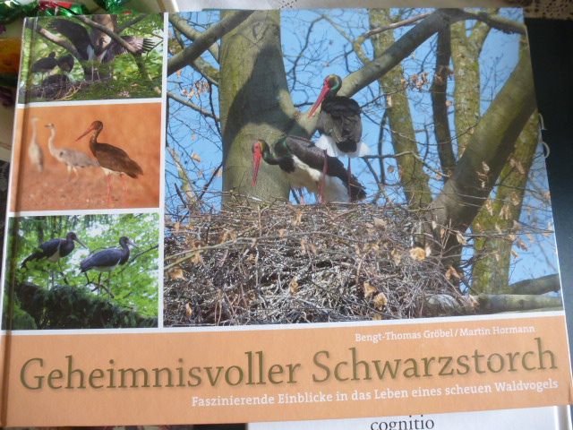 Geheimnisvoller Schwarzstorch, NEU in Solms