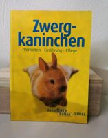 Zwergkaninchen Buch Hasen Ulmer Rheinland-Pfalz - Sülm Vorschau