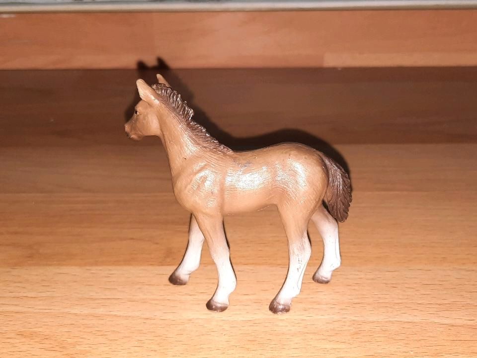 Schleich Figur Pferd in Flensburg