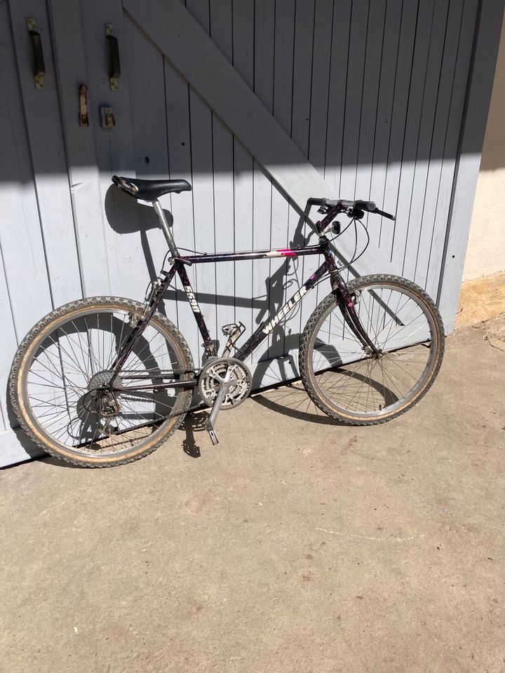 Geile Vintage Bikes: Rennrad Gravel MTB Commuter Reiserad ATB in Bamberg