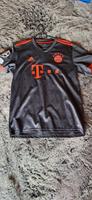 Trikot FC Bayern München De Ligt Bayern - Schwandorf Vorschau