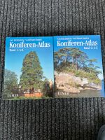 Koniferen Atlas - 2 Bände Niedersachsen - Hildesheim Vorschau