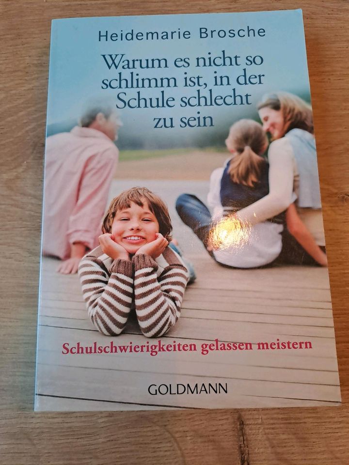 Schulschwierigkeiten meistern    Goldmann Verlag in Salzkotten