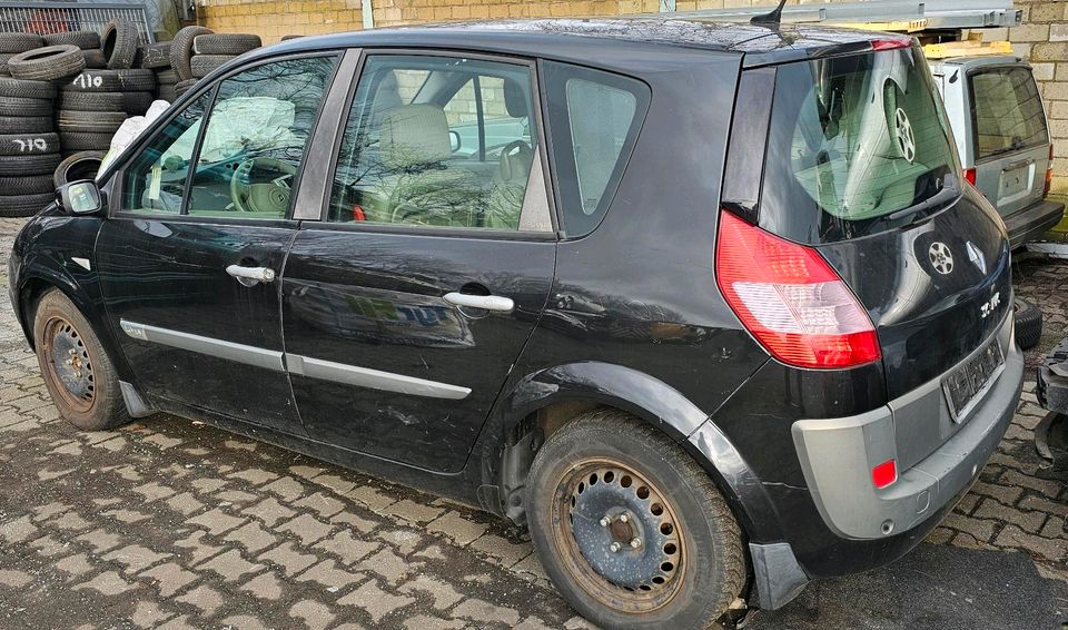 Renault Scenic 1,6 16V Schlachtfahrzeug Tür Kotflügel Stoßstange in Mülheim (Ruhr)